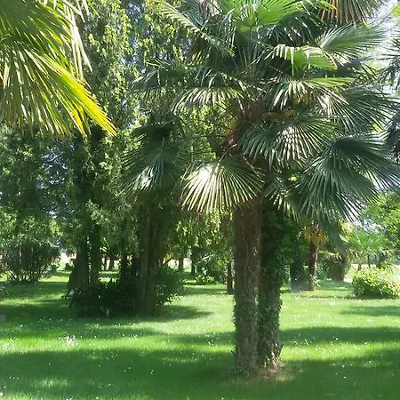 Farm stay Agriturismob&b Loggia Degli Artisti *