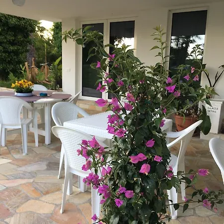 Agriturismob&b Loggia Degli Artisti Фермерский дом