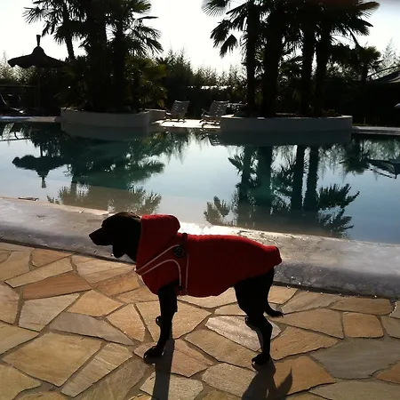 Agriturismob&b Loggia Degli Artisti Feriegård Palazzolo dello Stella